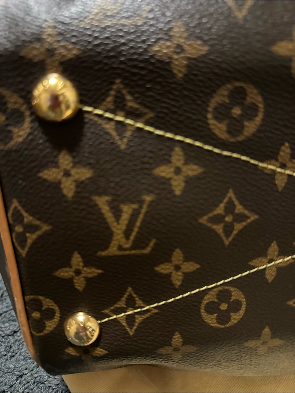 Louis Vuitton Monogram Canvas Shoulder Bag in Brown and Tan - Picture 16 of 16